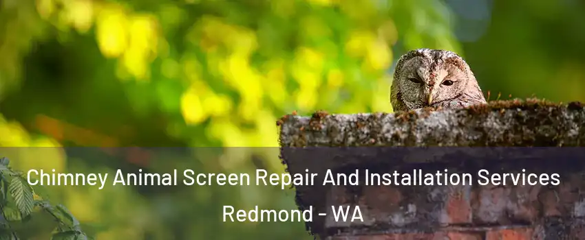  Chimney Animal Screen Repair And Installation Services Redmond - WA