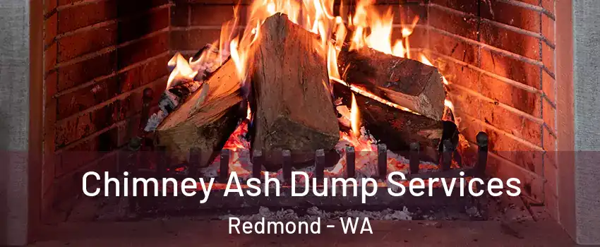  Chimney Ash Dump Services Redmond - WA