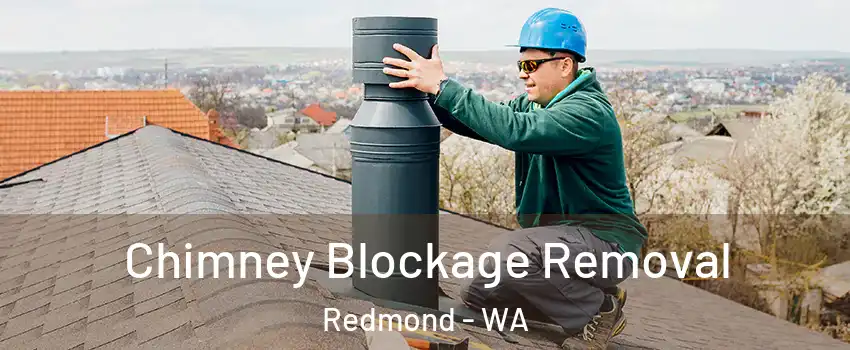  Chimney Blockage Removal Redmond - WA