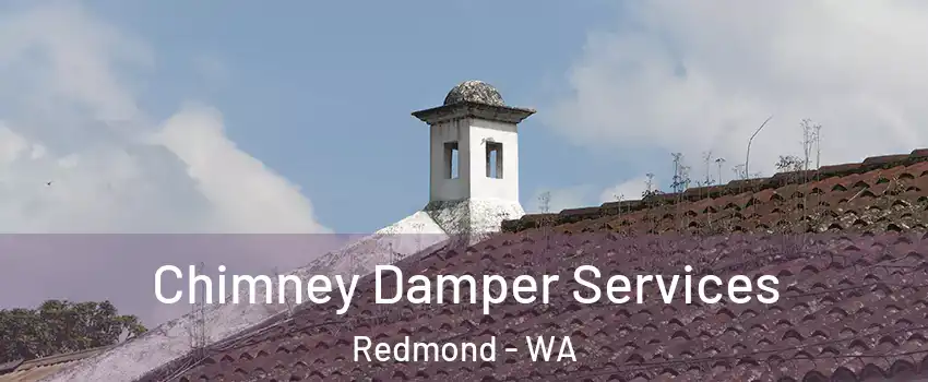  Chimney Damper Services Redmond - WA