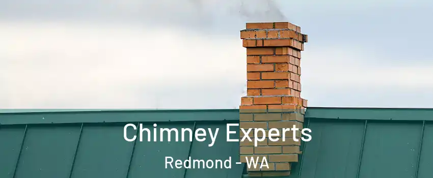  Chimney Experts Redmond - WA