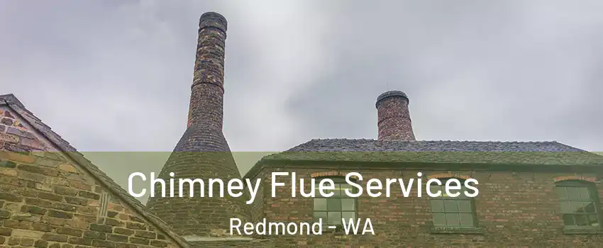  Chimney Flue Services Redmond - WA