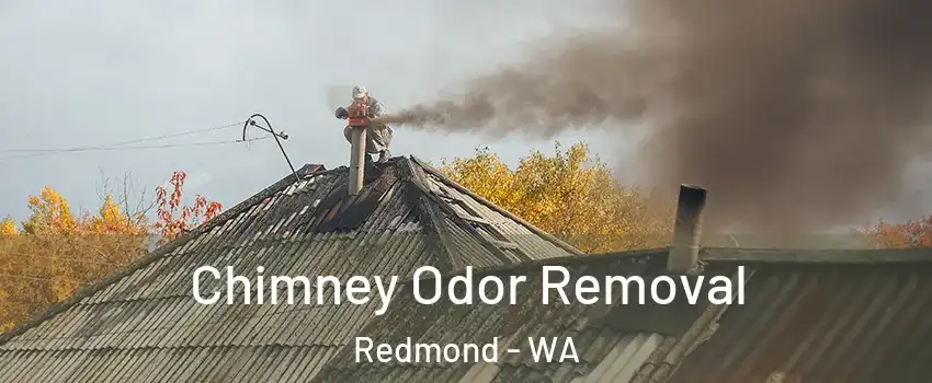  Chimney Odor Removal Redmond - WA