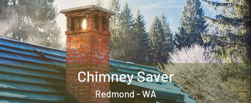  Chimney Saver Redmond - WA