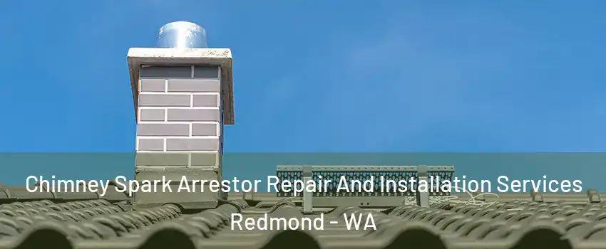  Chimney Spark Arrestor Repair And Installation Services Redmond - WA