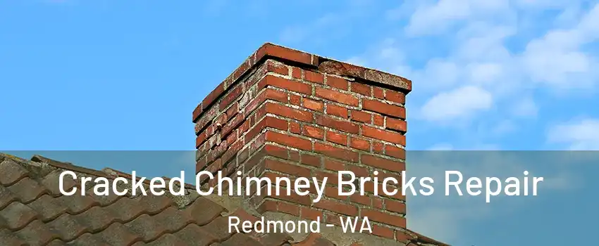  Cracked Chimney Bricks Repair Redmond - WA