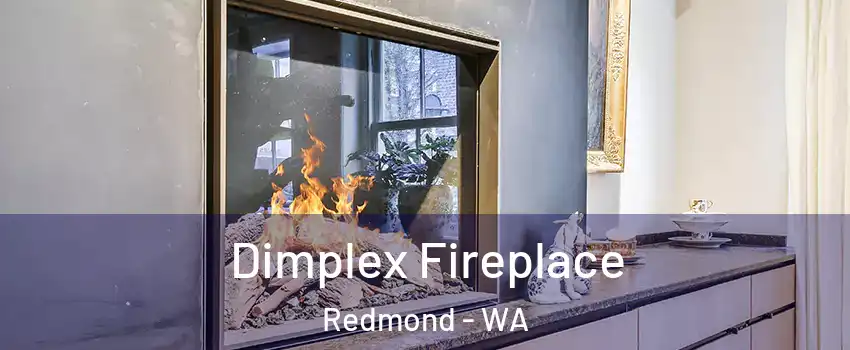  Dimplex Fireplace Redmond - WA