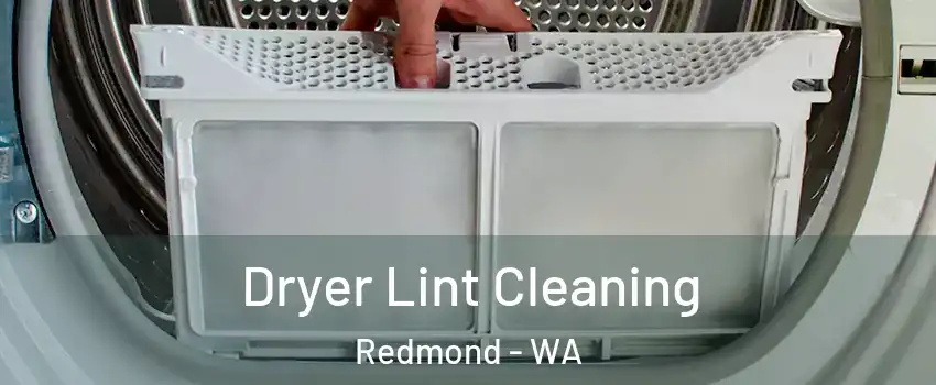  Dryer Lint Cleaning Redmond - WA