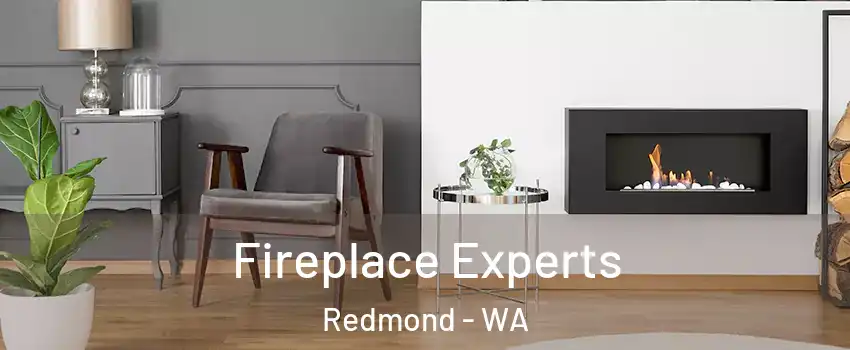  Fireplace Experts Redmond - WA