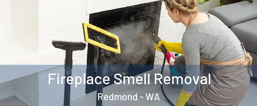  Fireplace Smell Removal Redmond - WA
