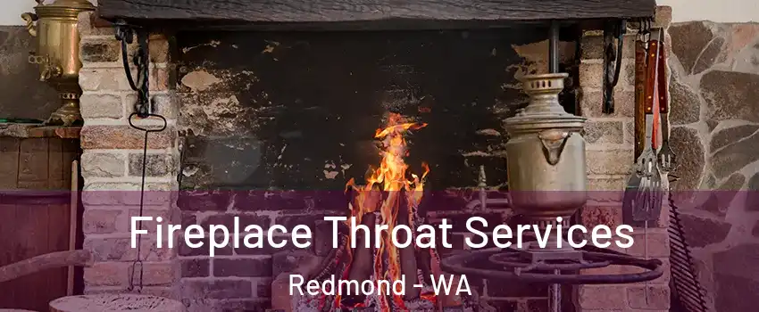  Fireplace Throat Services Redmond - WA
