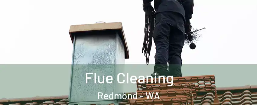  Flue Cleaning Redmond - WA