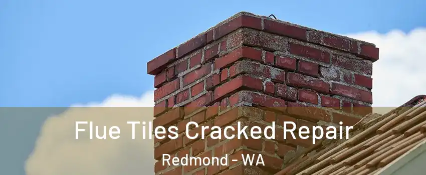  Flue Tiles Cracked Repair Redmond - WA