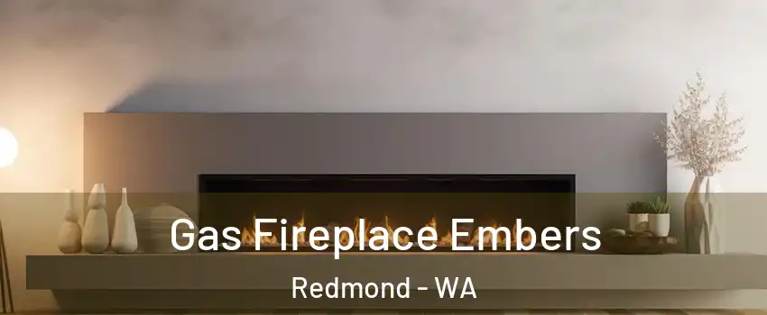  Gas Fireplace Embers Redmond - WA