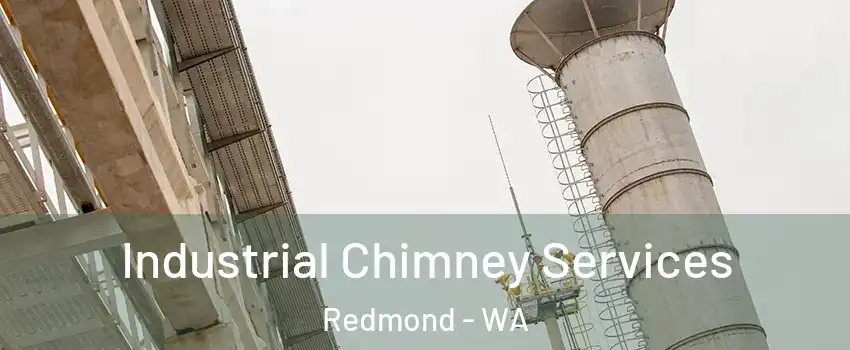  Industrial Chimney Services Redmond - WA
