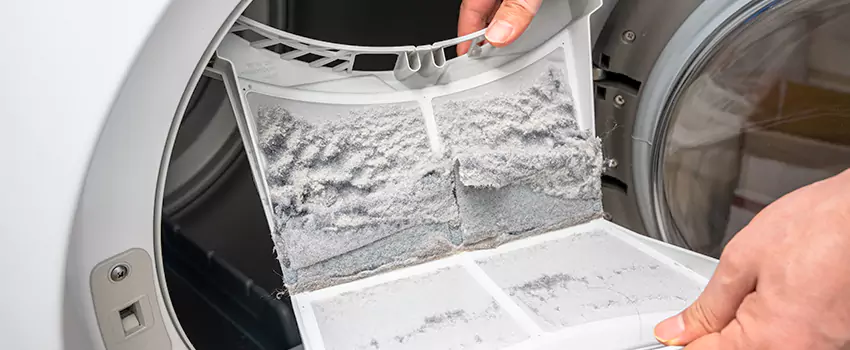 Best Dryer Lint Removal Company in Redmond, Washington