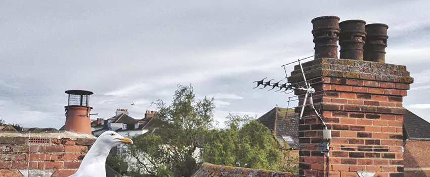 Chimney Cleaning And Restoration in Redmond, Washington