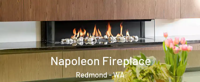  Napoleon Fireplace Redmond - WA